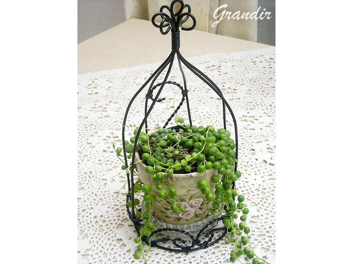 ���������́u�v�����c�Q�[�W�v�́A�A�������ĉẴO���[�����C�t�ɖ𗧂��܂��B�f�Ă��̔�����{�I�ɕt���ł��t�����܂��B