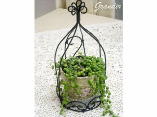 鳥かご風の「プランツゲージ」は、植物を入れて夏のグリーンライフに役立ちます。素焼きの鉢も基本的に付属でお付けします。