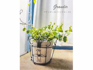※3号鉢付き/植物なし。初めてさん作品のなかでは、何回かやった方におすすめ。 基本の技術がたくさん入っています。