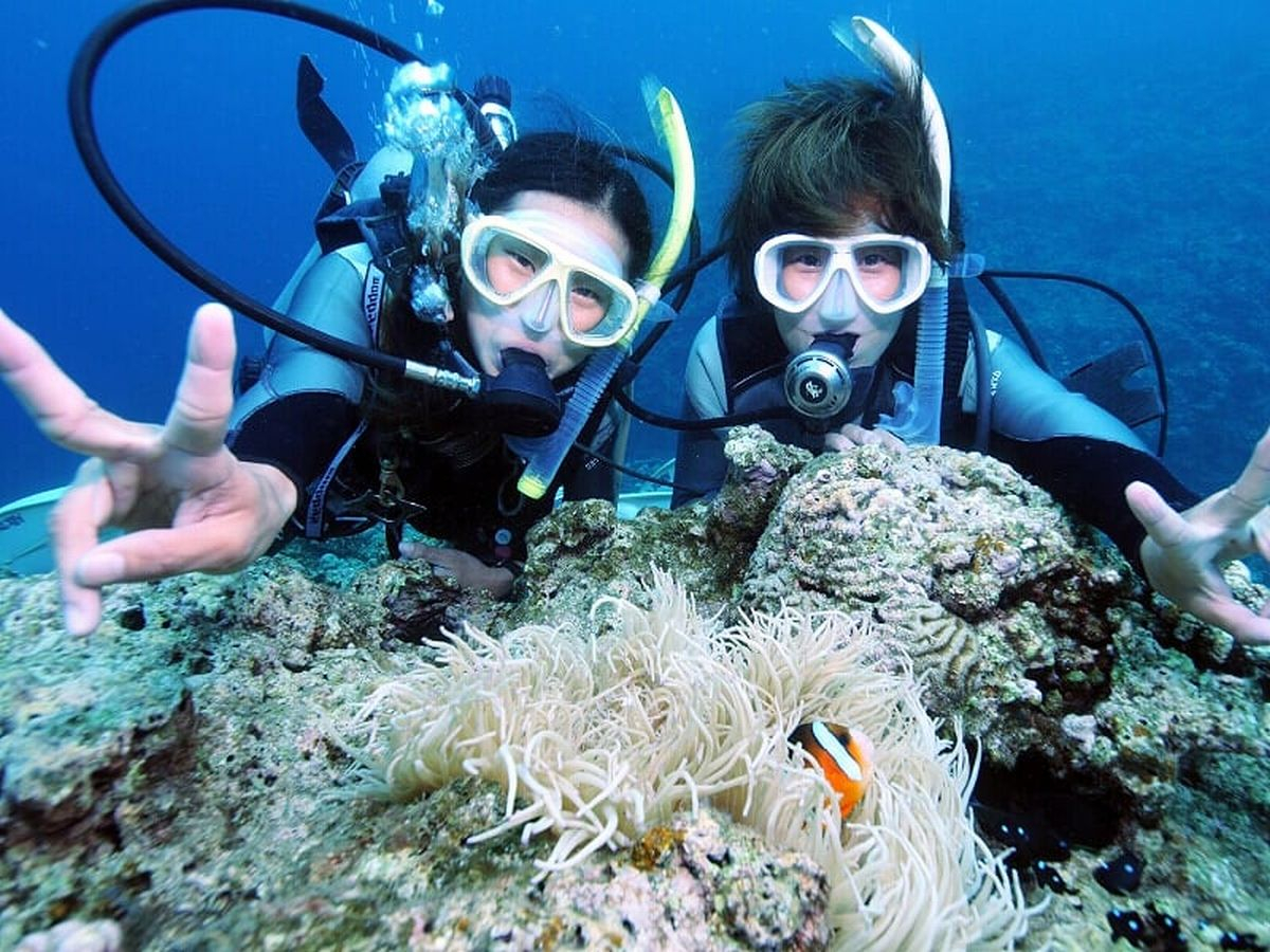 _I̓AIX܏WUȂ̂ŁA{݂Î\ɂSłB