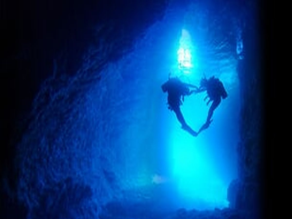 y_Iu̓Avx͌ĂقAi̐Ez