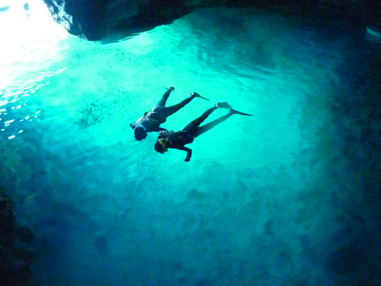 _I̓AIX܏WUȂ̂ŁA{݂Î\ɂSłB