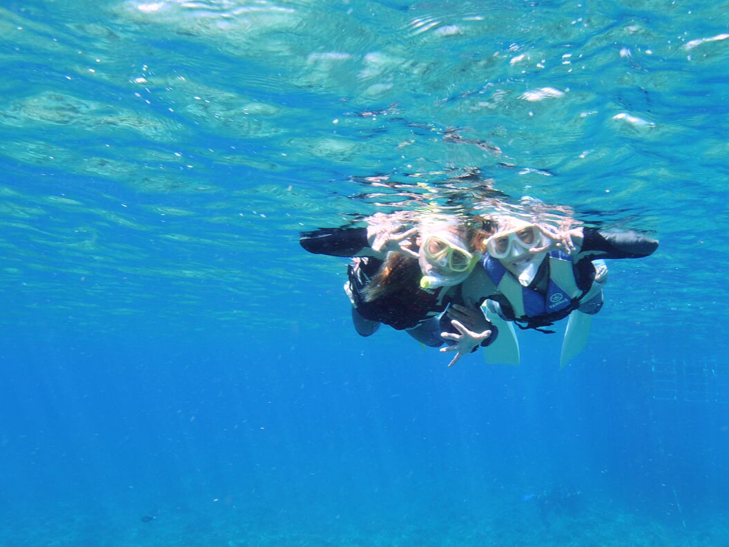 �y�J���������n�j�I�D�ォ��X�^�b�t���o�������B�e���܂��I�z