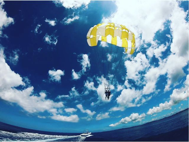 �y���ɂ͑s��Ȍi�F���L����I���[�v�̒����Œ�200���I�z