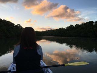 夕暮れのマングローブはとっても神秘的♪