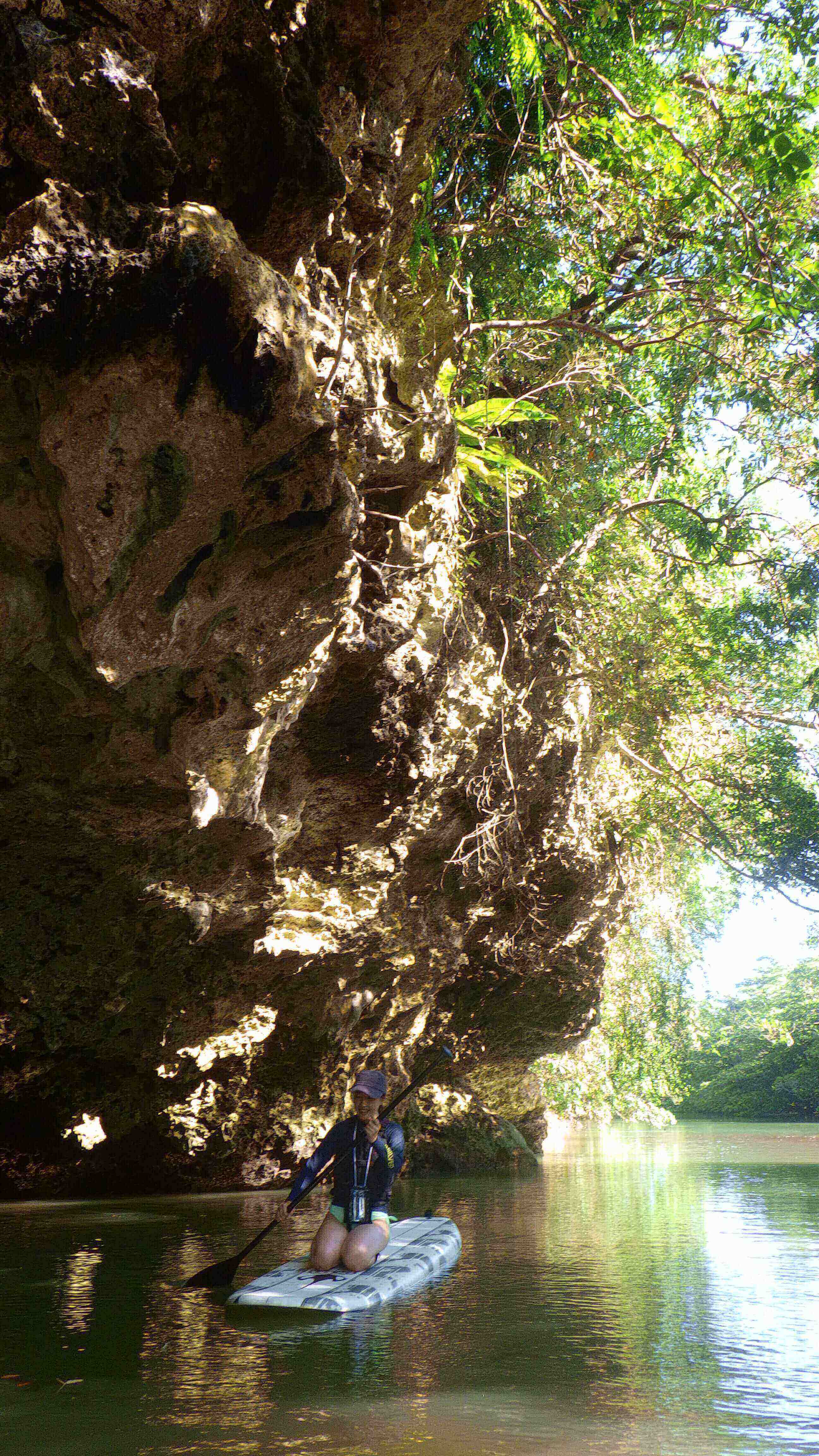 木の下にもSUPで入れます!