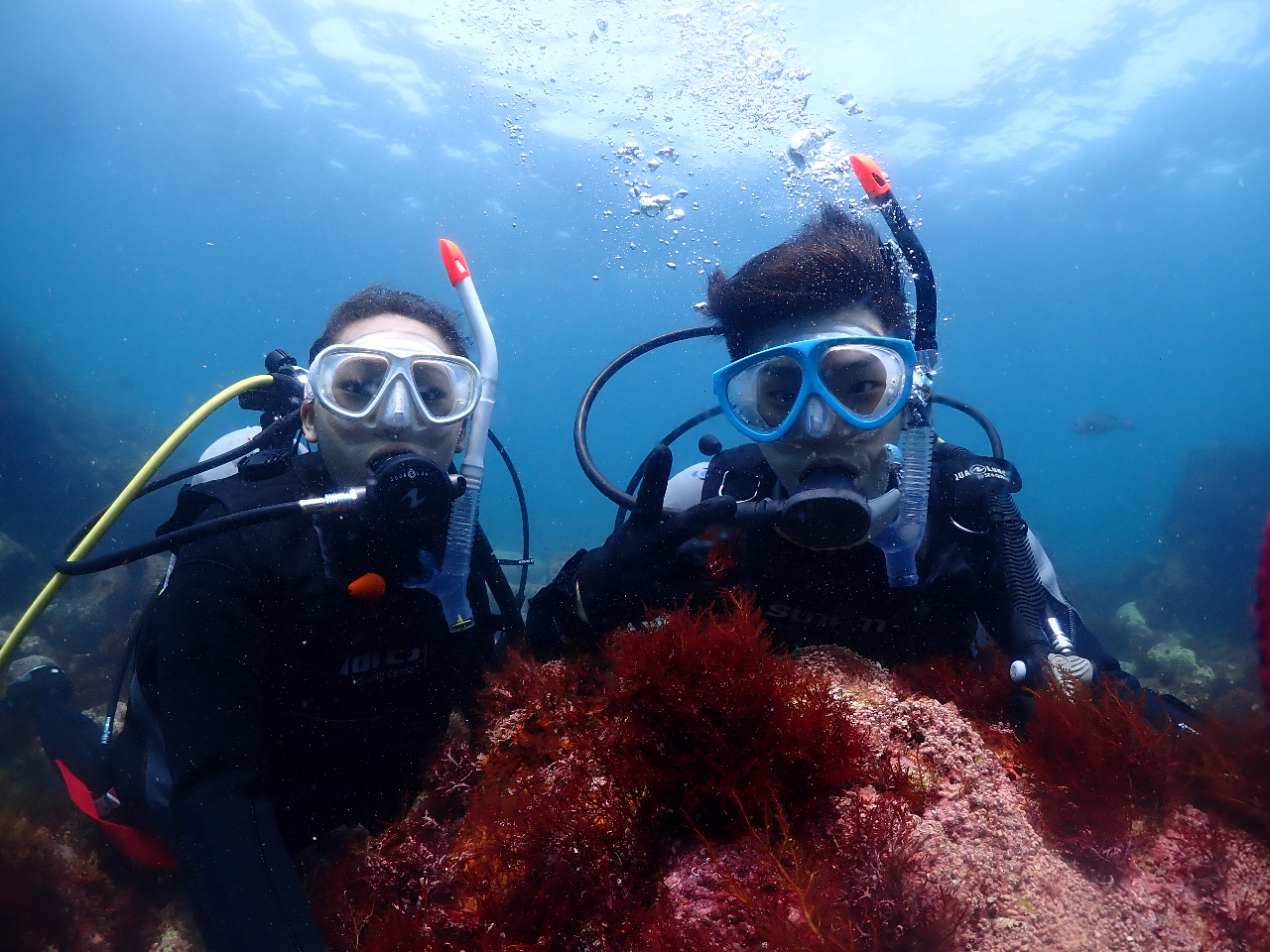 ★ペア割:合計1,000円オフ★<体験ダイビング>お友達やカップル・ご夫婦で一緒...