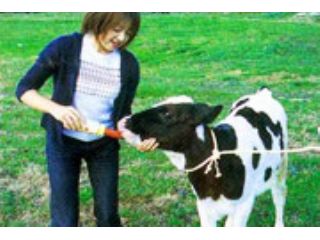 阿蘇 モーモーファーム竹原牧場 子牛のミルク飲ませ体験 500円 15分 モーモーファーム竹原牧場 じゃらん遊び体験