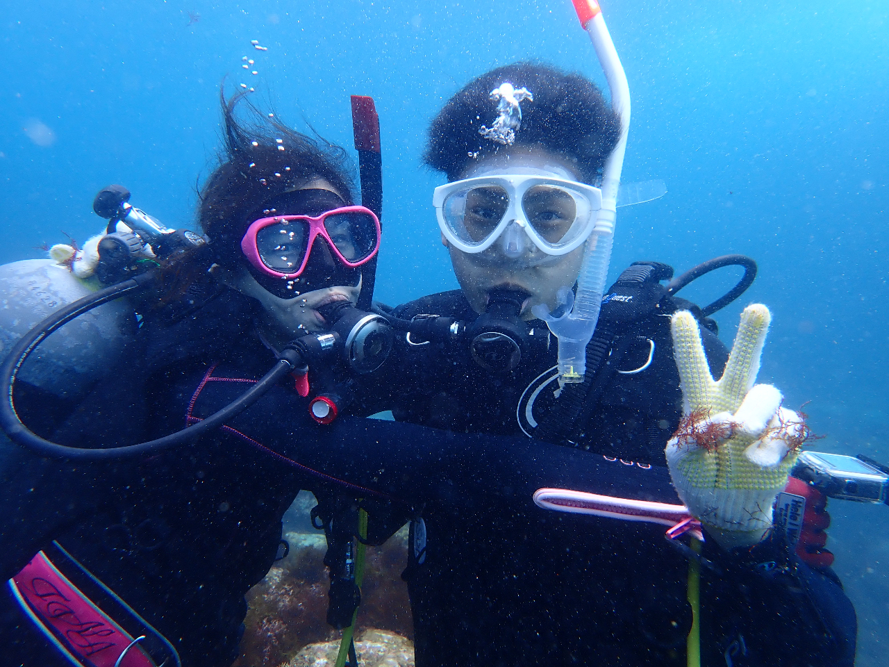 ʐ^͂̏Ńf[^n邱Ƃł܂