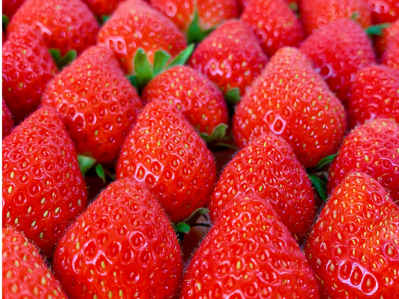 W[V[ȂƂĂÂʏ`Ղuڂv