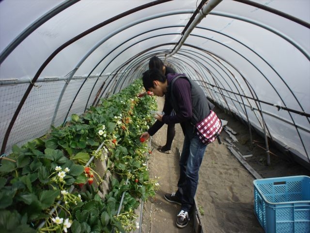 1nEX1O[vݐ؂łēĂ܂