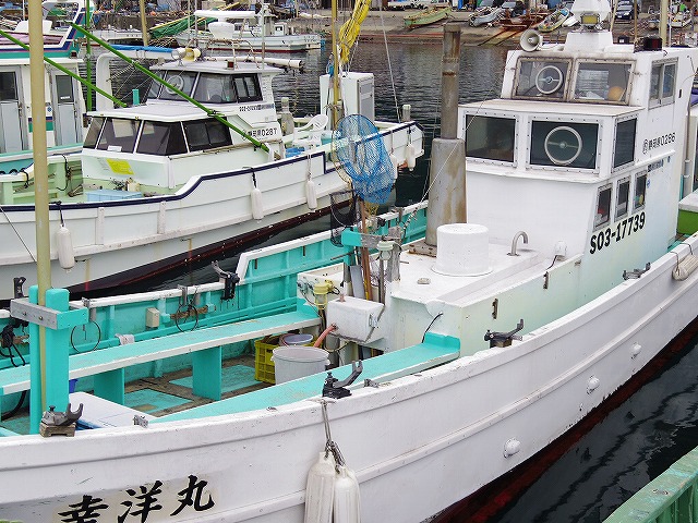 �D�ɏ���āA�C�ɏo�����܂��傤