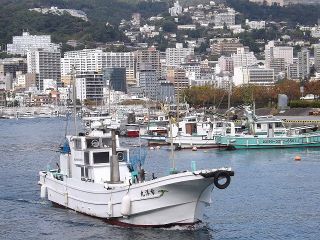 静岡 海釣り 釣り船 日帰り旅行 遊び アクティビティ体験一覧 トラベルコ