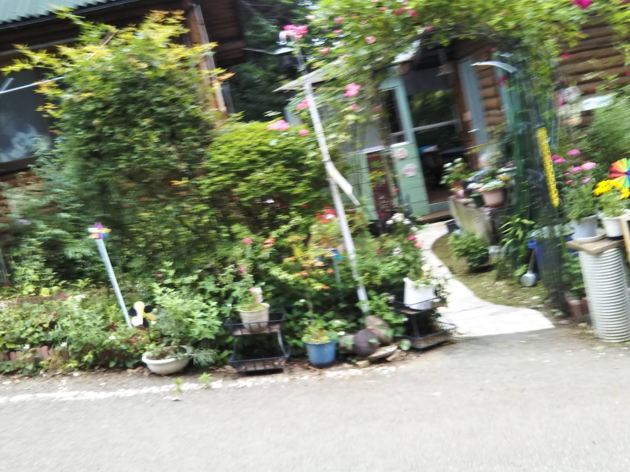 薔薇のアーチ門くぐると奥が茶店になります(^.^)