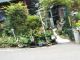 薔薇のアーチ門くぐると奥が茶店になります(^.^)