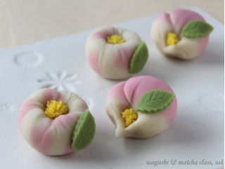 11月和菓子 さざんか と 枯露柿 を作ってみよう 約3時間 和菓子教室sakura じゃらん遊び体験