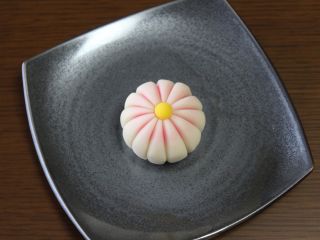 9月の練り切り「玉菊」 裏から透けて見えるピンクが可愛い菊の花です!