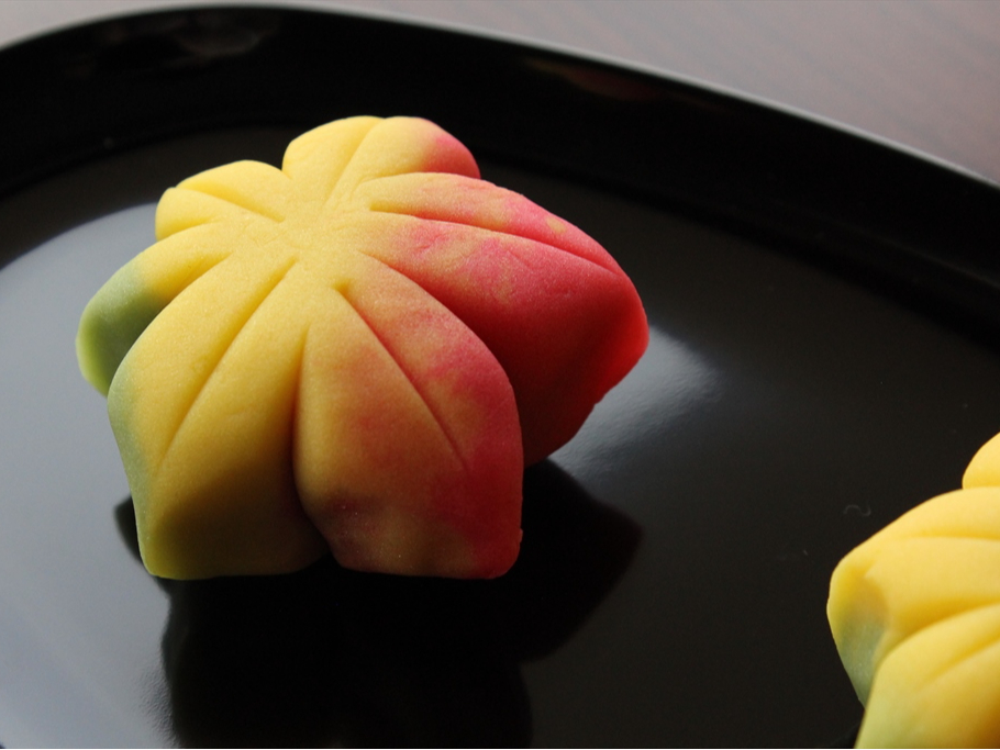 10̗؂u݂v@Of[Vgtgt܂