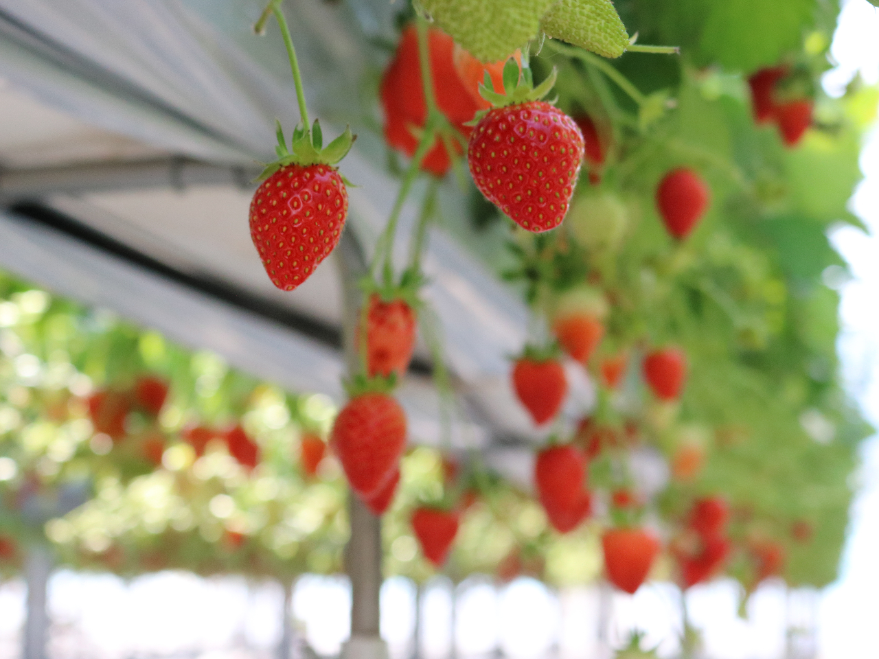 ܂܂肪łnEXł͏BeƂꂢɎB܂