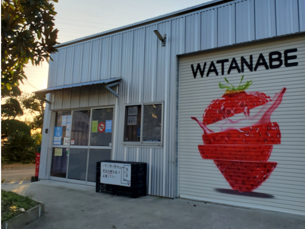 ̊Oς͂ȊłB݂̓Ri΍cƂĂ܂