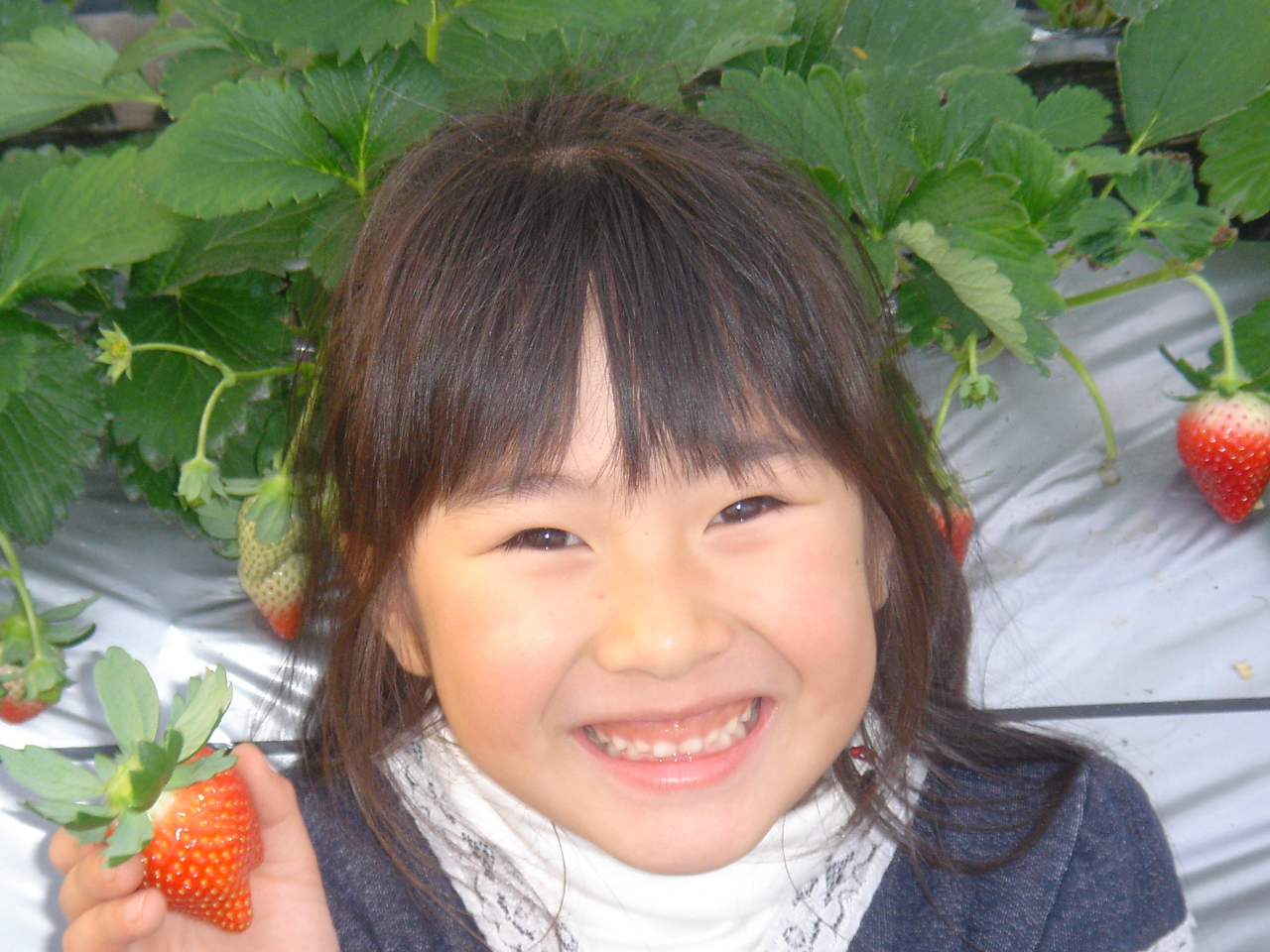 ԂċLOBe!!!̎vocĂĂ