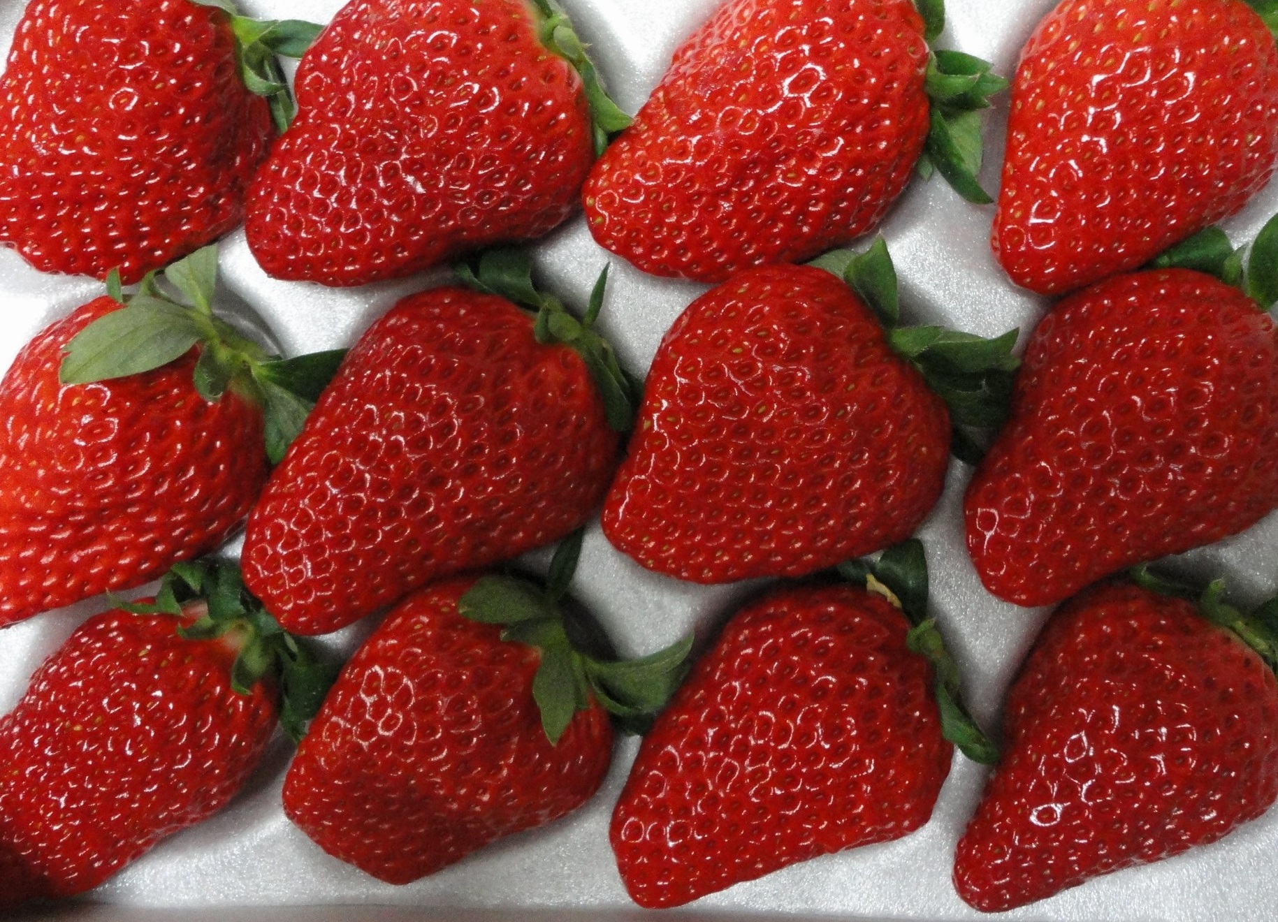 ���y�Y�p�̂��������̔����Ă��܂��B�S�ݓX�Ŕ̔�����Ă���悤�Ȍ��h���̂���`������p�ӂ��Ă��܂��B