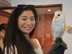 メンフクロウのアルトは女の人が大好き♪
