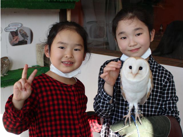 お子様も安心して触れ合いをお楽しみいただけます!