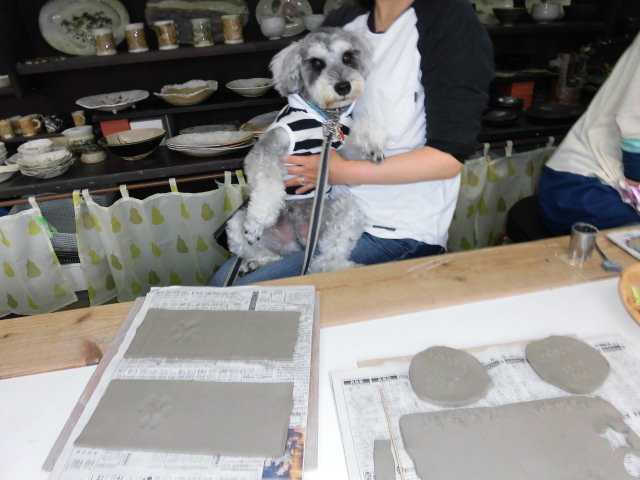 ꏏɎЂ˂̌BԂ1Cőҋ@ȂėǂłB