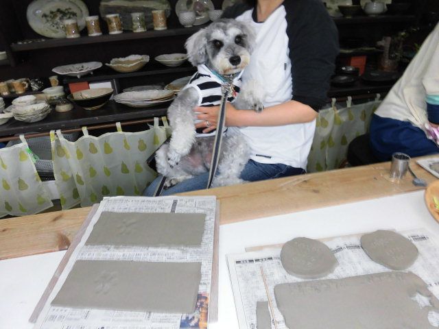 ワンちゃんも一緒に手ひねり体験。車で1匹で待機しなくて良いですよ。