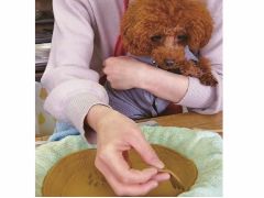 ワンちゃん連れの方は1人1作品となっております。