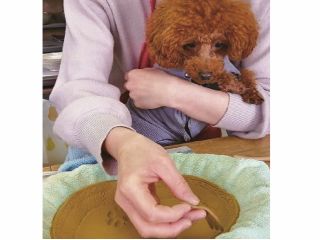 ワンちゃん連れの方は1人1作品となっております。