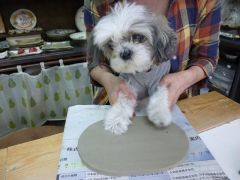 わんちゃんも参加できます♪