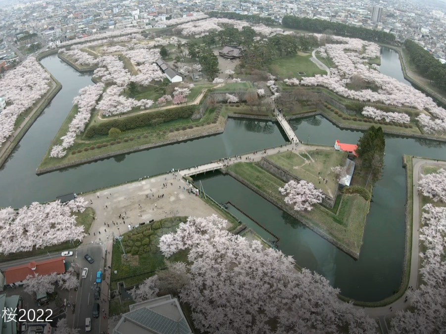 `̗vǁAܗŊsB^[W]䂩͂̌`邱Ƃł܂B