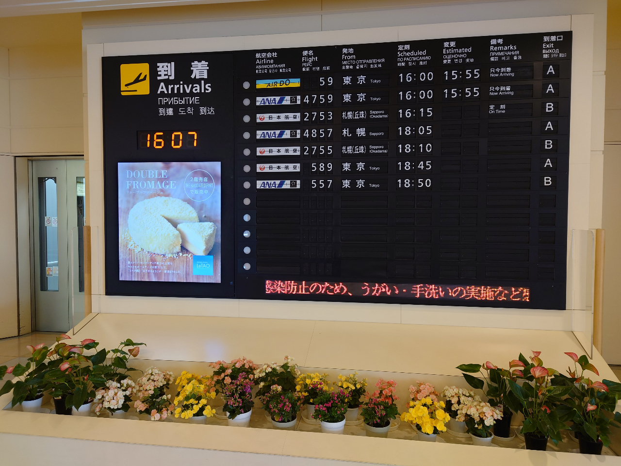 SNSŘbŃAȔً`r[1K̃\[\@(o2K\[jً`ɂɂ̓p^p^Ƃ낪邩܂B