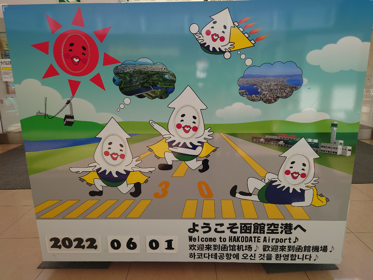 ���ً�`�̎ʐ^�B�e�p�p�l���@�C�J�Ł@�i�q�g�Łj������܂�