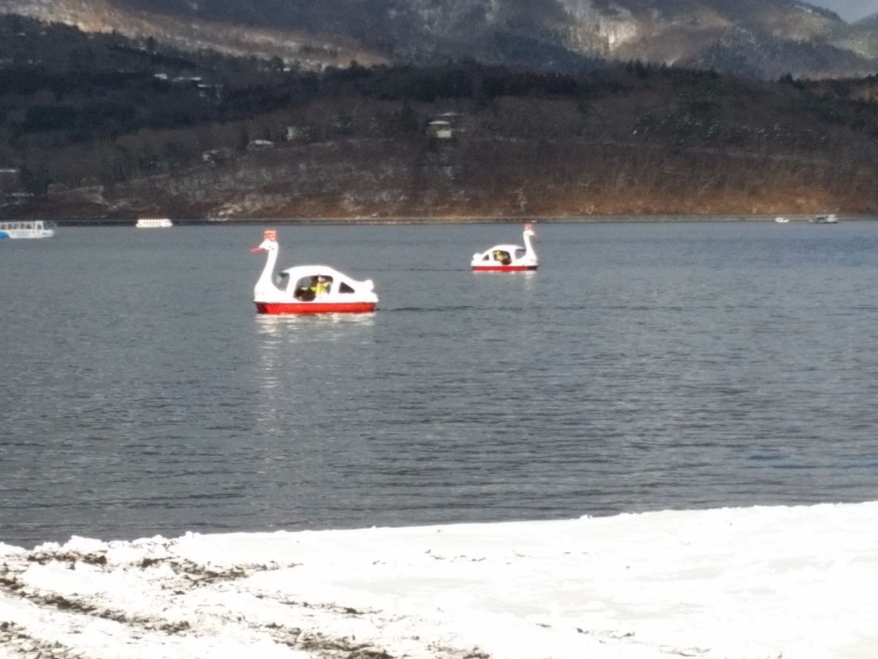 寒い時期でも楽しめます。