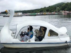4人乗りスワンにファミリーで乗船!愛犬もご機嫌でした