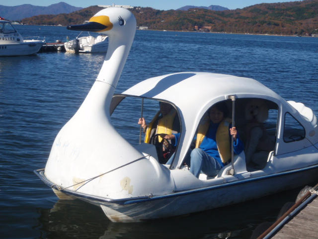 4人のりスワンも人気!