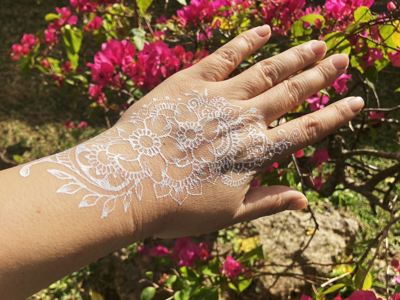 zCgwi̎{pB{fByCg̈ŁAQ`Rŏ܂B