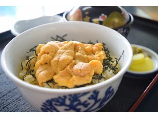 季節のうに丼