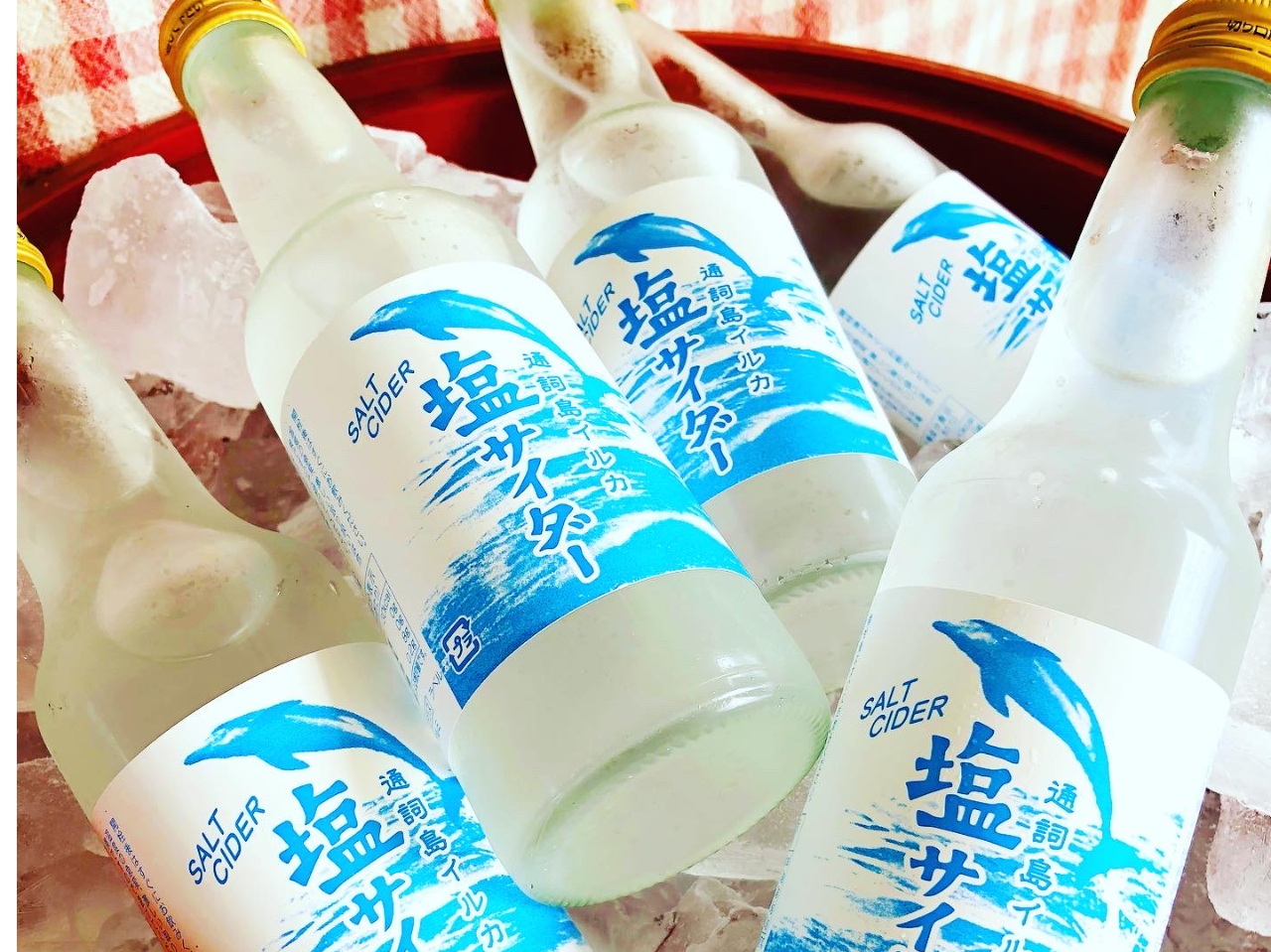 二江港」からの出航!!イルカウォッチング【うにコロッケ1個又は通詞島