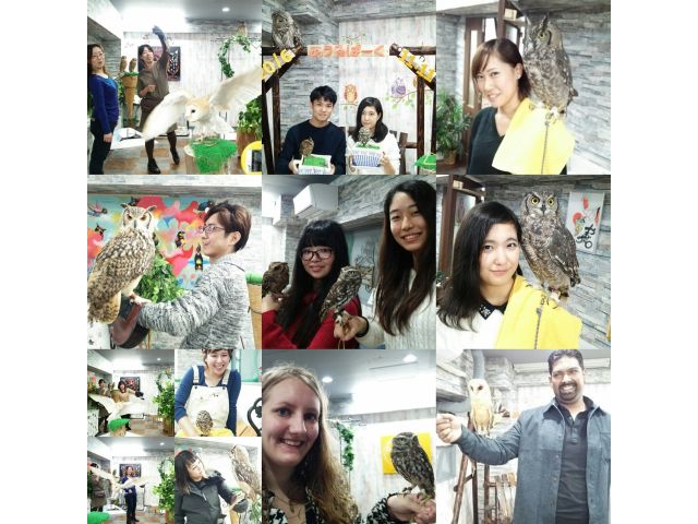 あうるぱーくフクロウカフェ池袋で様々な動物カフェ体験!26種類30羽のフクロウ・ハリネズミ・イグアナふれあい体験