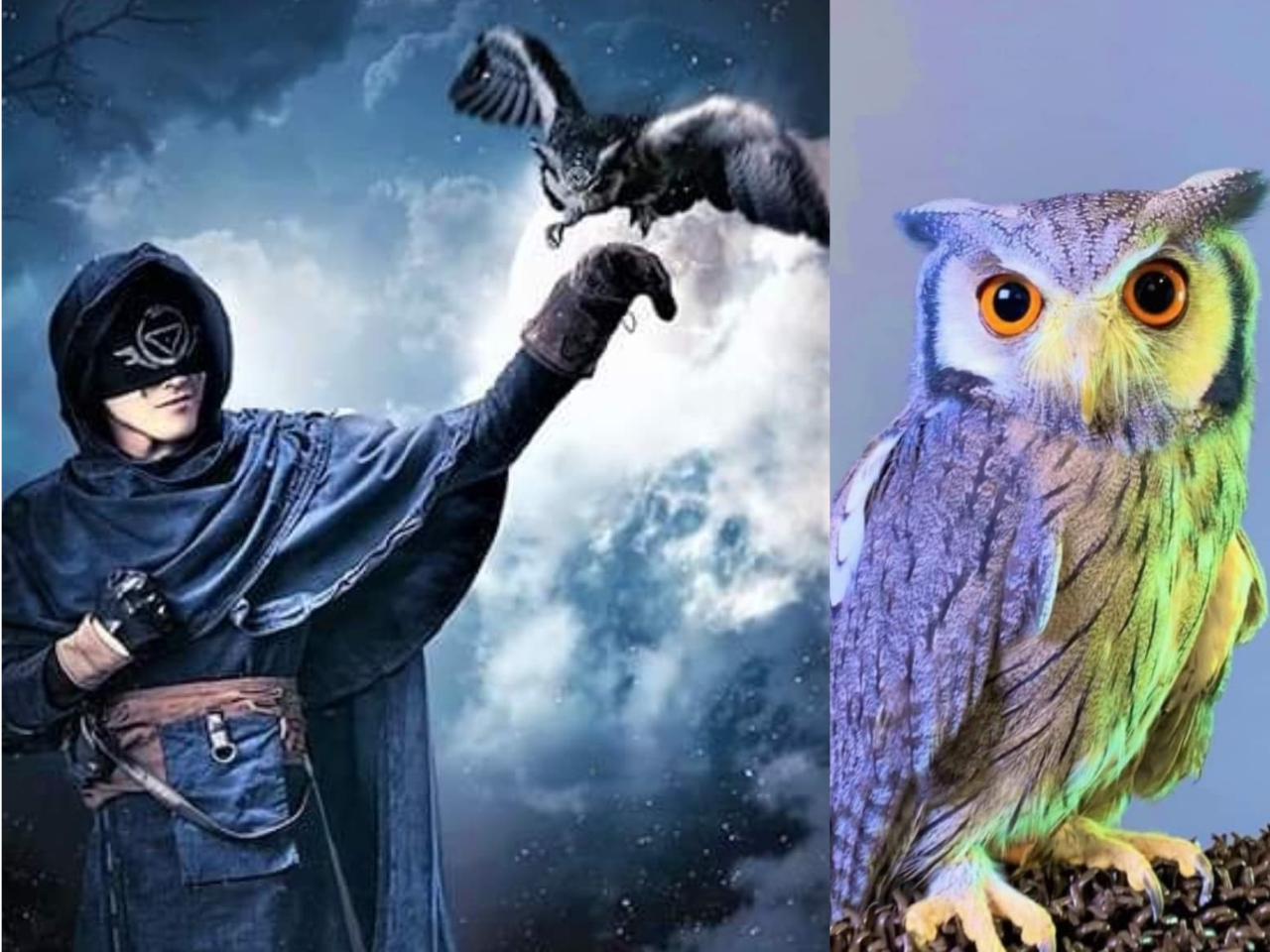 舞台第五人格eps1イライ・クラーク使い鳥役で参加!ジーニー君