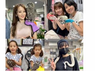 あうるぱーくフクロウカフェ池袋で様々な動物カフェ体験!26種類30羽のフクロウ・ハリネズミ・イグアナ・白蛇ふれあい体験