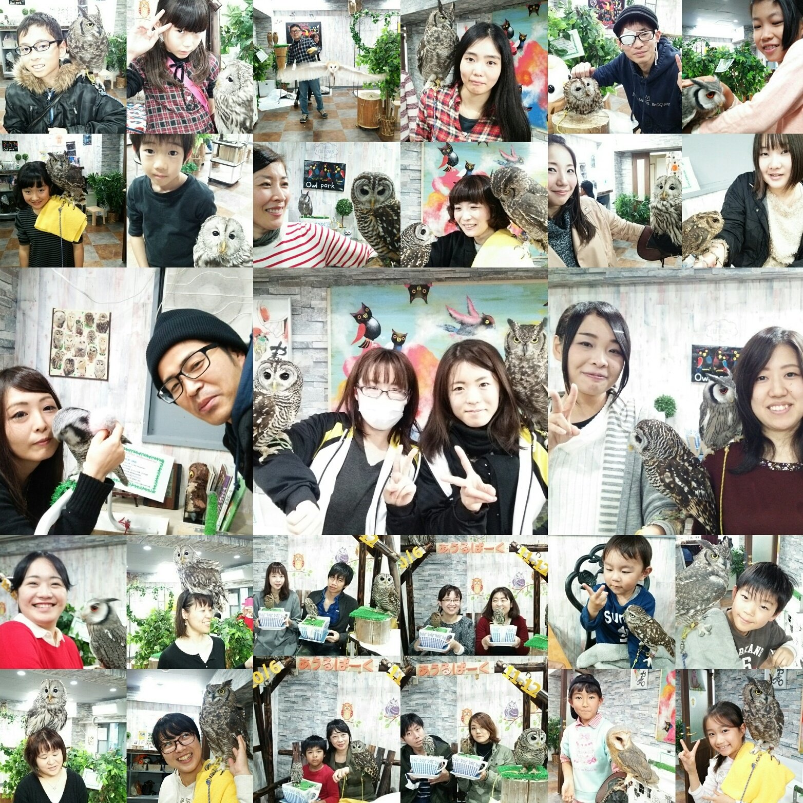 池袋でフクロウカフェ体験 !家族・グループ・おひとり様でも楽しめます。体験型フクロウカフェ あうるぱーく池袋西口で動物カフェ体験