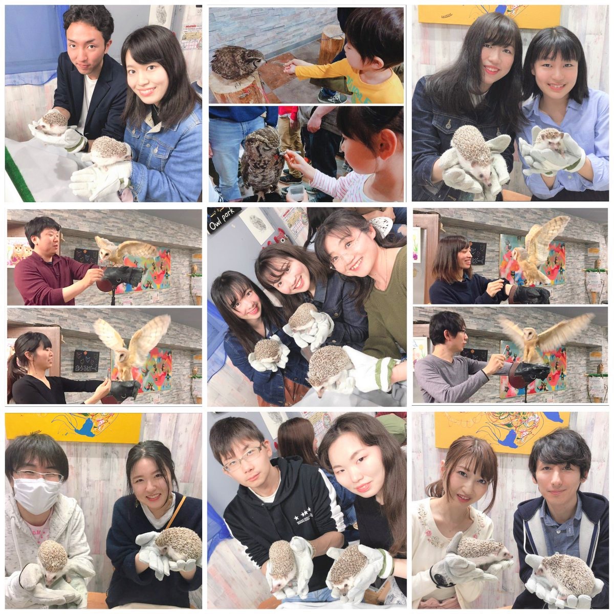 ρ[tNEJtFr܂ŉnlY~ƃtNEƗlXȑ̌o܂