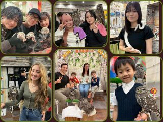 池袋西口でアニマルカフェ体験 !家族・グループ・おひとり様でも楽しめます。体験型フクロウカフェ あうるぱーくはフクロウ・ハリネズミ・白蛇と動物ふれあい体験