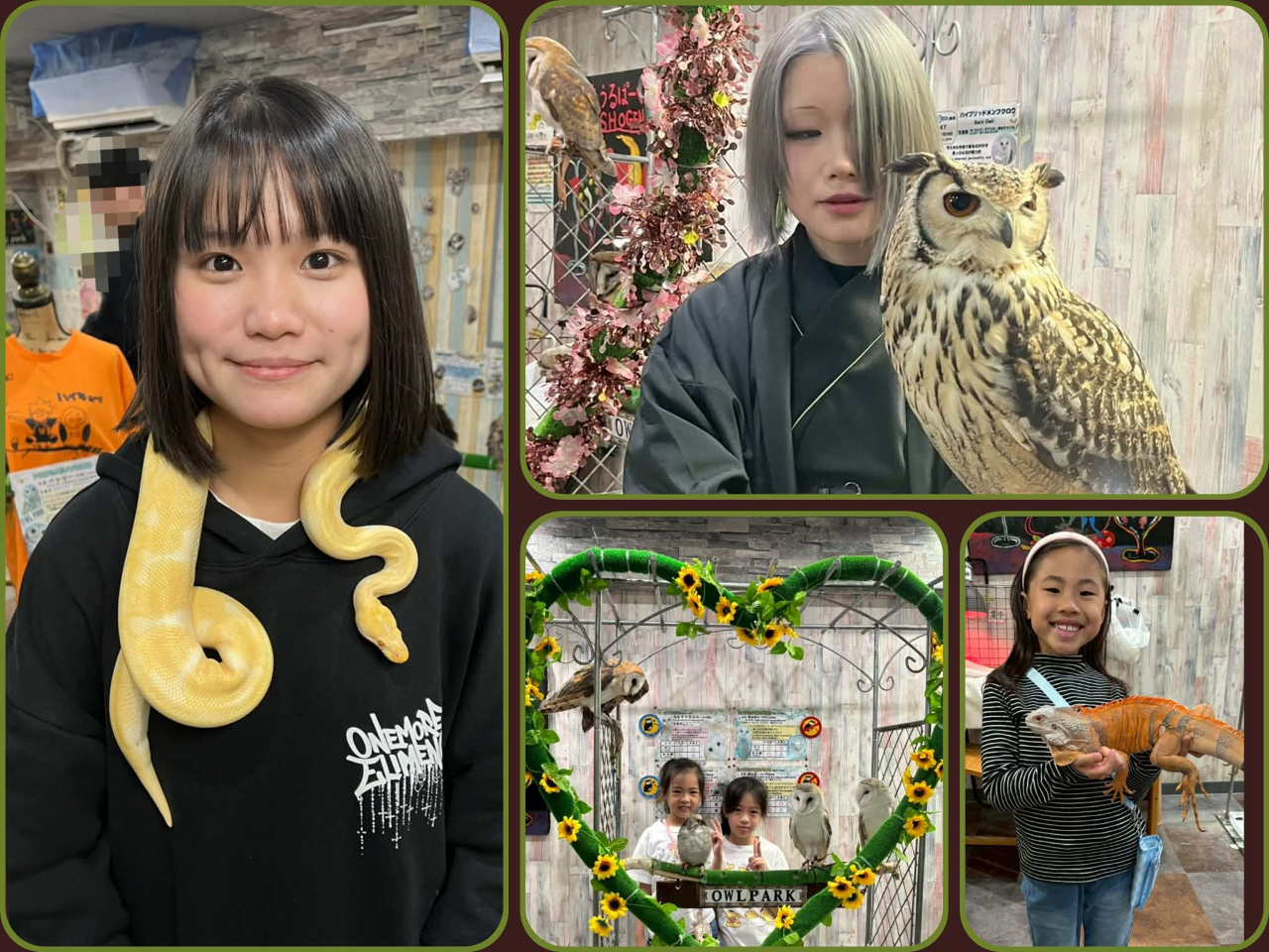 �t�N���E��n���l�Y�~. �ӂꂠ���̌��I�t�N���E��̂��E���悹�̌��@�����J�t�F�����E�r�ܐ����ɂ̓t�N���E�E�n���l�Y�~�E঒��ށE�C�O�A�i�E�w�r(���ցE�A���r�m)