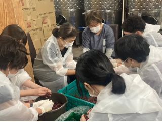 仕込みのシーズンには運が良ければ醸造体験ができるかも!